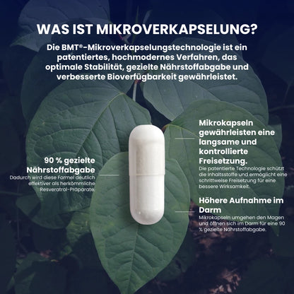 RESVERATROL  MIKROVERKAPSELT